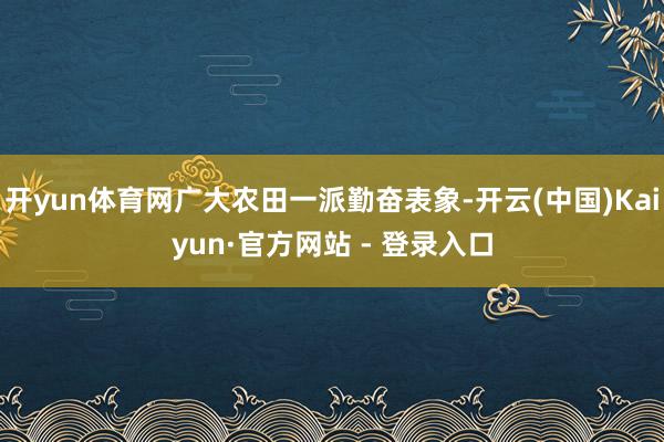 开yun体育网广大农田一派勤奋表象-开云(中国)Kaiyun·官方网站 - 登录入口