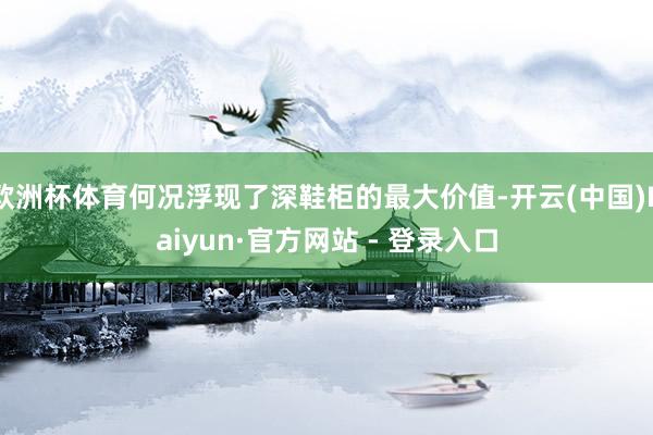 欧洲杯体育何况浮现了深鞋柜的最大价值-开云(中国)Kaiyun·官方网站 - 登录入口