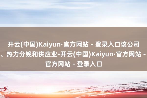 开云(中国)Kaiyun·官方网站 - 登录入口该公司从事电力、热力分娩和供应业-开云(中国)Kaiyun·官方网站 - 登录入口