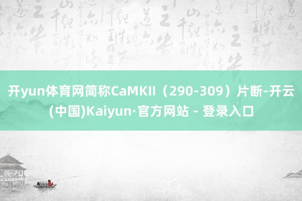 开yun体育网简称CaMKII(290-309)片断-开云(中国)Kaiyun·官方网站 - 登录入口