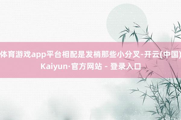 体育游戏app平台相配是发梢那些小分叉-开云(中国)Kaiyun·官方网站 - 登录入口